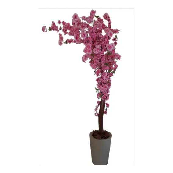 Planta Árvore 1,70m Cerejeira Rosa Claro, Permanente Foto 1