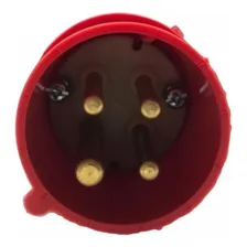 Plugue Macho Industrial 3p+t 16a 380v Vermelho Steck Foto mini 3