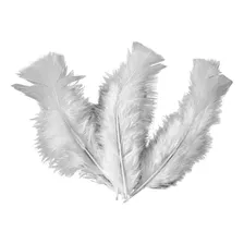 Plumas e Penas Pluma de Gallina Pluma de Gallina Pack 20 10 Blanco Foto mini 1