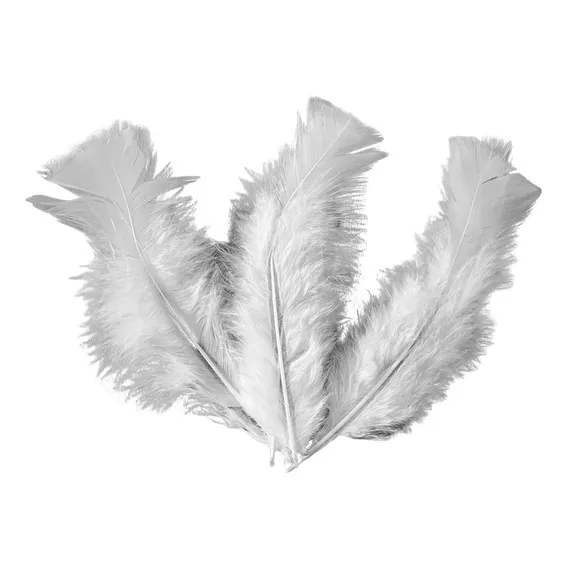 Plumas e Penas Pluma de Gallina Pluma de Gallina Pack 20 10 Blanco Foto 1