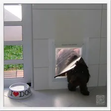 Porta de Passagem Gatos e Cachorros Porta Pequena Buddy Toys Pet Door Branco Foto mini  3