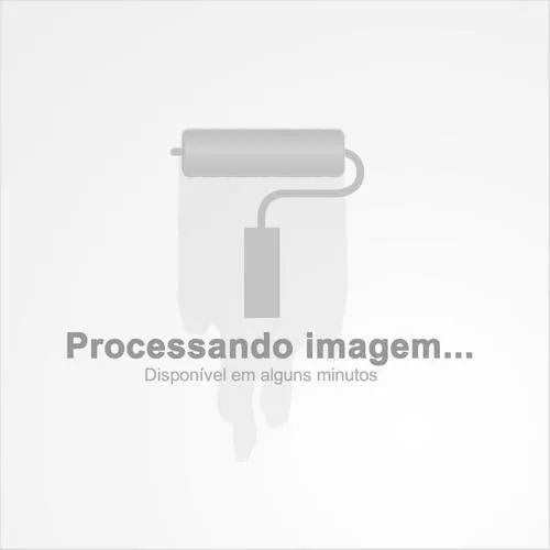 Porta Forno Fogão A Lenha Pizza Ferro E Vidro Igloo 52x42cm Foto 1