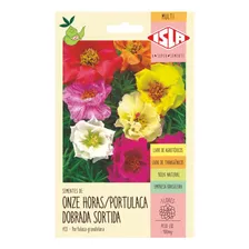 Portulaca/ Onze Horas Dobrada Sortida/ 100mg De Sementes Foto mini 1