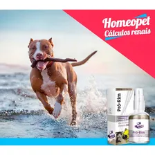 Pro Rim Homeopet - 30ml Foto mini 4