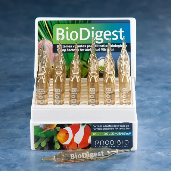 Prodibio Biodigest 20 Bilhões De Bactérias - 1 Ampo Foto 1