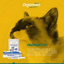 Promun Cat Suplemento VitamÃnico Prebiotic Organnact - 50 G Foto mini 2