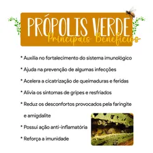 Própolis Verde 360 Cápsulas 500mg 6 Frascos 100% Pura Foto mini  2