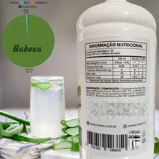 Puro Gel De Babosa Organico Nutrealoe 1 Litro Suco Puro Foto mini 4