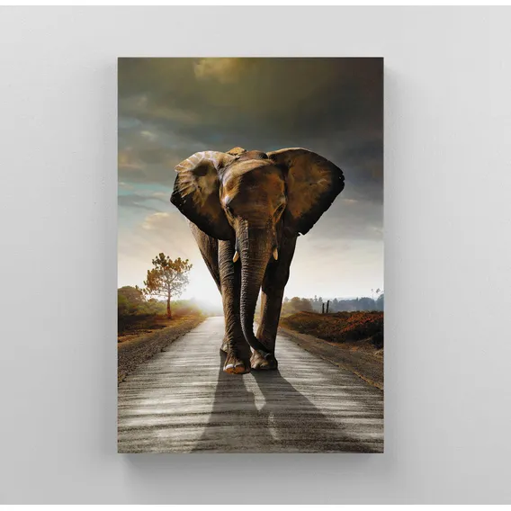 Quadro Decorativo Elefante Indiano 60x90cm Foto 1