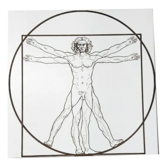 Quadro Decorativo Homem Vitruviano Em Mdf Branco Foto 1