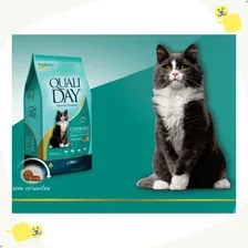 Qualiday Cat Castrado Salmão Arroz Vegetais 10kg Foto mini  3