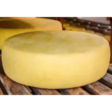 Queijo Minas Canastra Meia Cura 1,1 Kg - São Roque De Minas Serra da Canastra Foto mini 2