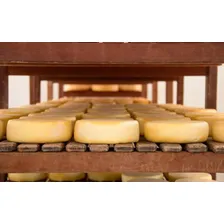 Queijo Minas Canastra Meia Cura 1,1 Kg - São Roque De Minas Serra da Canastra Foto mini 4