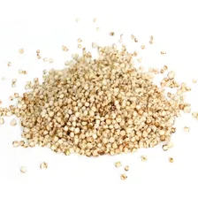 Quinoa Quinua Branca Em Grãos - 1kg Natural Foto mini 1