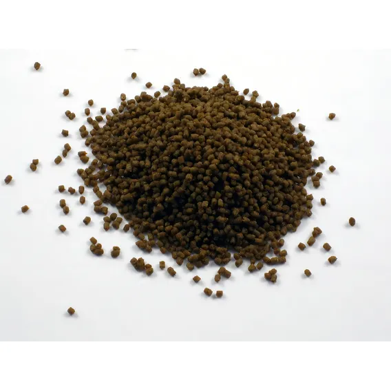 Ração Dr Bassleer Biofish Food Regular 150g L Alimento Base Foto 1