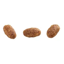 Ração Gatos Adultos Frango E Arroz 10,1kg Granplus Foto mini  2