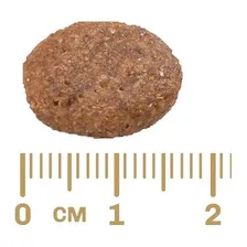 Ração Gran Plus Menu Cão Adulto Médio e Grande Carne & Arroz 15kg Foto mini 4