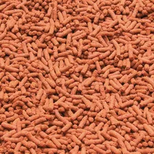 Racao Jbl Dragon Shrimp 1000ml 440g Sticks Spid Fish Foto mini 3