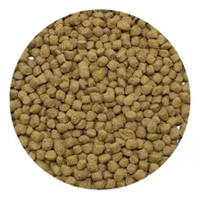 Ração Jurassi Diet Pet Tigre D'agua Tartaruga Seachem 40g Foto mini  3