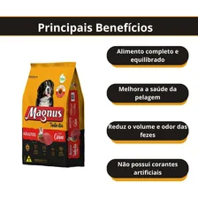 Ração Magnus Premium Todo Dia Cão Adulto Sabor Carne 15kg Foto mini  3