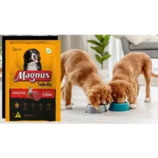 Ração Magnus Premium Todo Dia Cão Adulto Sabor Carne 15kg Foto mini 4