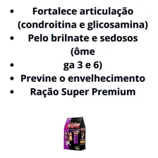 Ração Magnus Super Premium Cães Pequeno Frango Arroz 10,1kg Foto mini  2