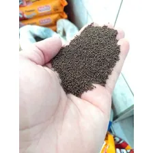 Ração Para Bettas, Kinguios E Tropicais (45%proteina) - 10kg Foto mini  2