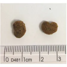 Ração Premier Raças Especificas Caes YorkShire Adulto 1 Kg Foto mini  2