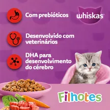 Ração Whiskas Para Gatos Filhotes Sabor Carne e Leite 900g Foto mini  3