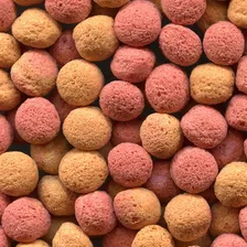 Ração Alcon Club Tucanos E Araçaris 5kg Foto mini 3