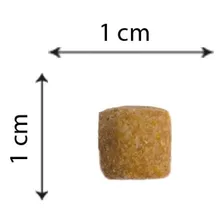 Ração Cães Adultos Pequeno Porte Frango E Arroz 1kg Zuppy Foto mini 4