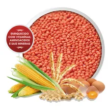 Ração Extrusada Biotron Bio-classic Vermelha 1 Kg Foto mini 2