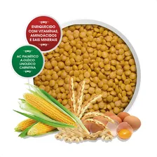 Ração Extrusada Papagaio Do Congo 5kg Biotron Alim. Completo Foto mini 2