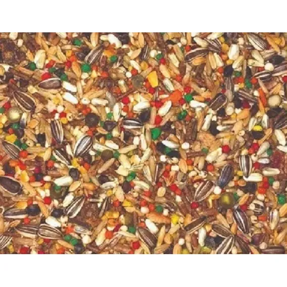 Ração Mistura De Sementes P/ Pixarro C/ Frutas E Mel -1 Kilo Foto 1