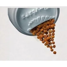 Ração Para Kinguio Adultos Poytara Kinguios Dia A Dia 100gr Foto mini 2