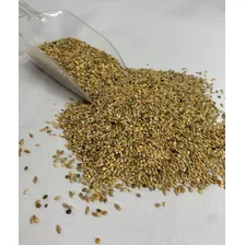 Ração PÔssaro Silvestre Coleiro 2,5kg Raposo Nutrição U19 Foto mini 3