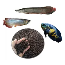 Ração Peixe Carnívoros Superfície M 700g Nutricon Bag Foto mini  3