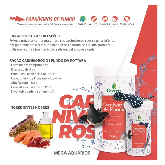Ração Peixe Traíra Surubim Poytara Carnívoros De Fundo 1,2kg Foto 1