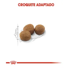 Ração Royal Canin Para Gatos Adultos Castrados 1,5kg Foto mini  2