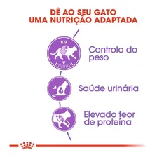 Ração Royal Canin Para Gatos Adultos Castrados 1,5kg Foto mini  3