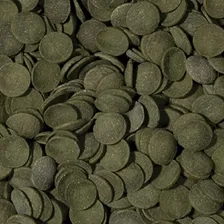 Ração Tropical Green Algae Wafers 113g - 250m Ideal Cascudos Foto mini 2