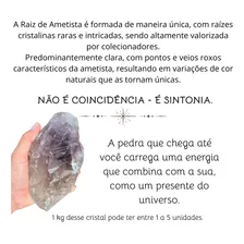 Raiz De Ametista Pedra Rara Exótica Bruta Natural 1kg Cristal Da Espiritualidade E Proteção Foto mini 4