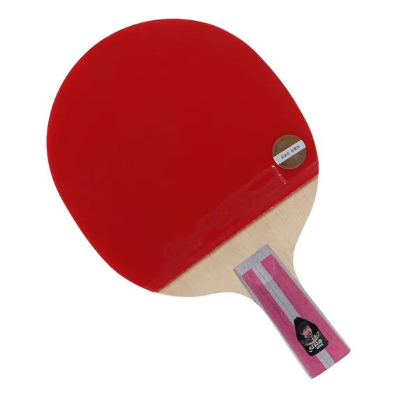 Raquete De TĂȘnis De Mesa Dhs H4006 Classineta Foto 1