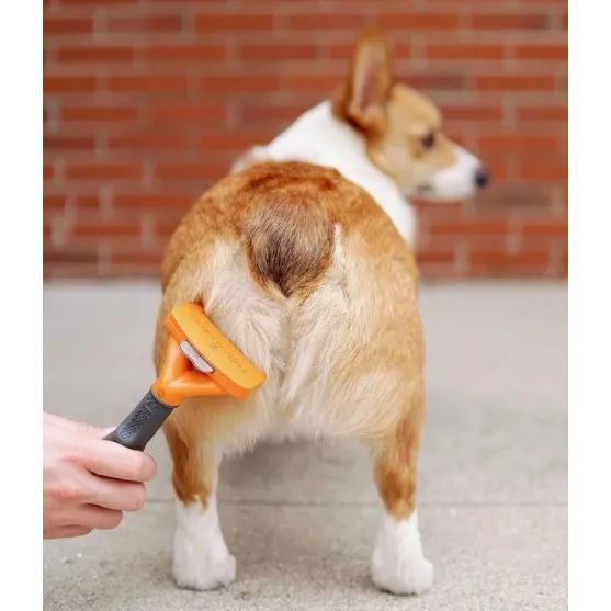 Rasqueadeira Para Cães Porte Médio Pelos Longos Furminator Cor Laranja Foto 1