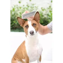 Rasqueadeira Profissional Tamanho 4 Para Cães Chalesco Foto mini 2