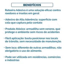 Ratoeira Adesiva Tem Veneno Ratoeira Adesiva Pega Tudo Kit20 Foto mini  2