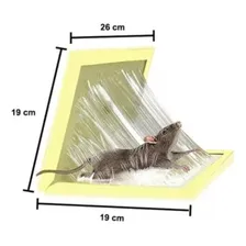 Ratoeira Adesiva Tem Veneno Ratoeira Adesiva Pega Tudo Kit20 Foto mini  3
