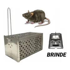 Ratoeira Armadilha Tipo Gaiola+brinde Ratoeira Alta Pressão Foto mini 1