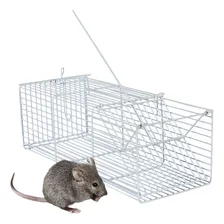 Ratoeira Gaiola Armadilha Para Ratos Ratazana Camundongo Roedores 30cm Grande Foto  mini 1