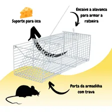 Ratoeira Gaiola Armadilha Para Ratos Ratazana Camundongo Roedores 30cm Grande Foto mini  2